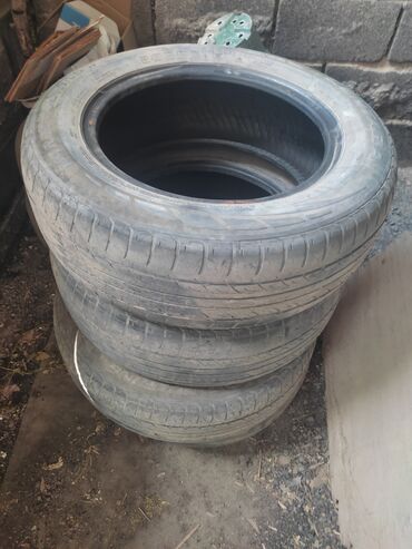 ромашки r15: 65