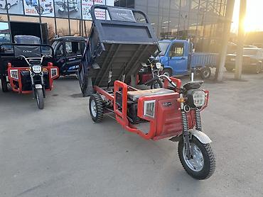 Мотороллеры муравей: Мотороллер муравей Электро, 70 км, 1000 - 1499 кг, Новый — 12