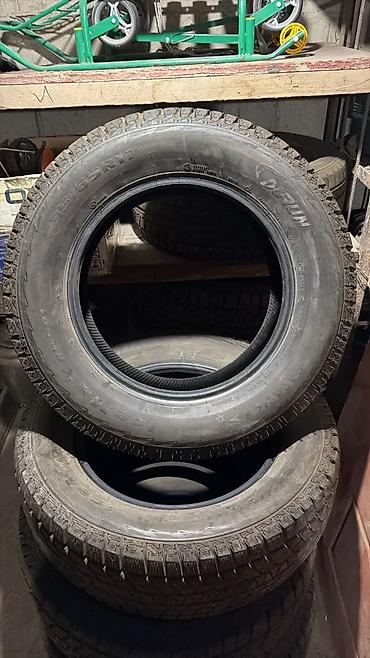 cl class: Шины 235 / 65 / R 17, Зима, Новый, Комплект, Внедорожные (АТ/МТ), Корея, DUNLOP — 2
