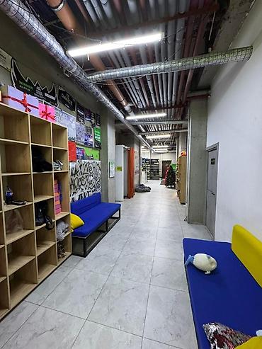 Продажа офисов: Продажа офисов 244 м², С ремонтом, Многоэтажное здание, Цокольный этаж этаж — 4