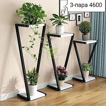 Тележки-органайзеры на колесах: Этажерки/стеллажи для комнатных растений - Дизайн: современные — 17