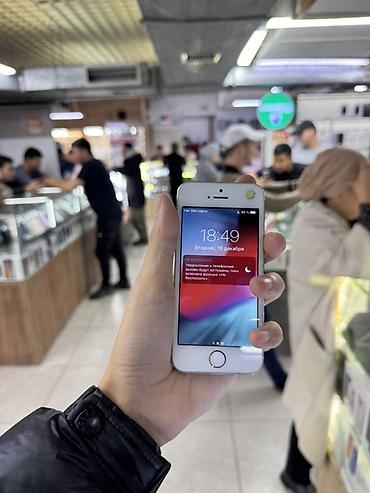 музык: IPhone 5s, Колдонулган, 16 ГБ, Күмүш, Заряддоочу түзүлүш, Каптама — 5