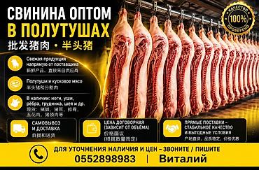 Свинина: СВИНИНА ОПТОМ В ПОЛУТУШАХ - Прямая поставка свежей продукции. - — 1