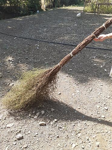 su ceken masinlar: Lənkəranda yovşan otundan həyət baca süpürmək üçün süpürgələr🧹🧹🧹 — 1