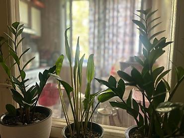 Продажа квартир: 2 комнаты, 52 м², 107 серия, 4 этаж, Евроремонт — 9