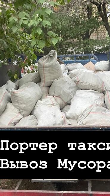 серебристая шиншила: Вывоз мусора Вывоз мусора Вывоз мусора Вывоз мусора Вывоз мусора Вывоз