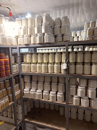 Мёд: Белый мёд ат-баши (эспарцет кремованный натуральный) — 15