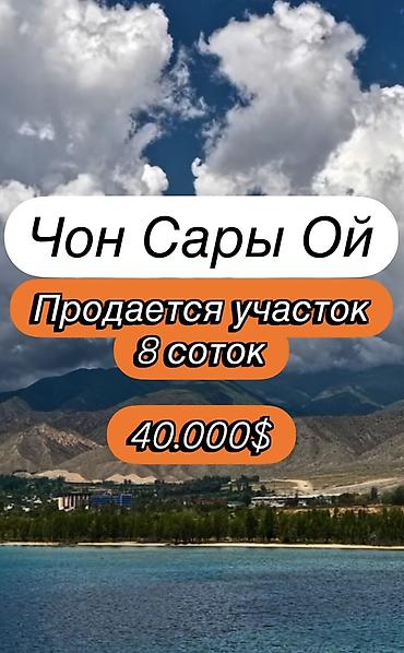 один штук: 8 соток, Для бизнеса, Красная книга — 1