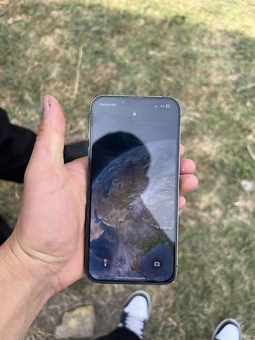 s25 plus: IPhone 13 Pro, Б/у, 128 ГБ, Alpine Green, Чехол, 79 % — 6