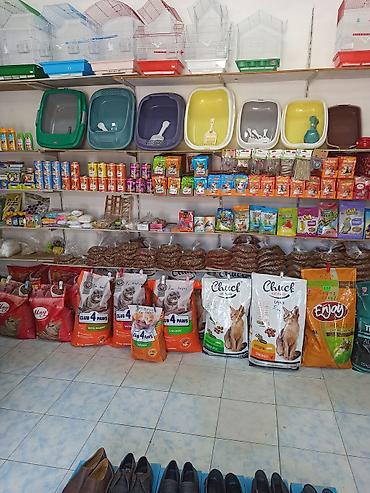 su qabi: Pişiklər və İtlər üçün qum qabıqları, Yem qabılari, Su qabılari — 4