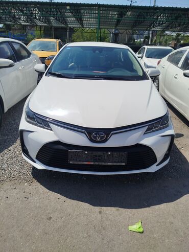 лампа для машины: Toyota Corolla: 2019 г., 1.8 л, Вариатор, Гибрид, Седан