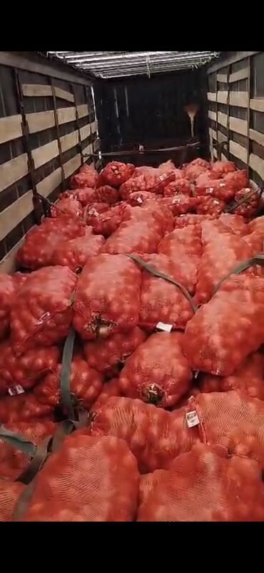 цена картошки в бишкеке 2023 год: Пияз