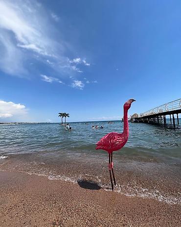 Иссык-Куль 2026: Коттедж, Д сектор ЦО Париж, Чок-Тал, Барбекю, Бассейн, Батут — 14