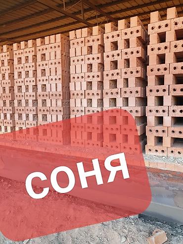 Тешиктүү, Бышкан кирпич, Жарым блок, 250×120×88 lalafo.kg да Тешиктүү, Бышкан кирпич, Жарым блок, 250×120×88