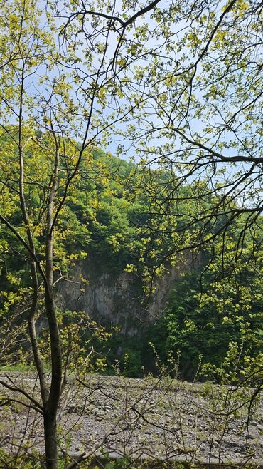 Turizm: 7 sot torpaqda 3 otaqli ev Yasayis ucun her bir serait vardir Qaz su — 3