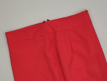 zara basic spódnice: Spódnica damska, rozmiar 3XL — 1