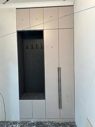 Шифоньеры, шкафы для одежды: Шифоньер, шкаф для одежды, Новый, Прямой, ЛДСП — 24