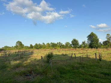 Torpaq sahələrinin satışı: 80 sot, Kənd təsərrüfatı, Mülkiyyətçi, Kupça (Çıxarış), Müqavilə — 3
