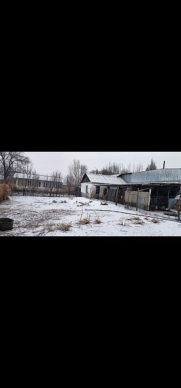 барачного: Продаётся жилой дом с большим участком и надворными постройками — 4
