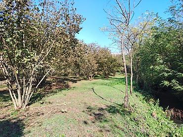 caravan satışı: 54 sot, Kənd təsərrüfatı, Kupça (Çıxarış) — 5