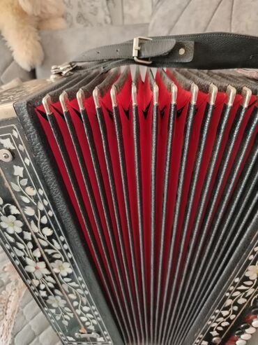 ZX: Akustik Akkordeon, Yeni, Ünvandan götürmə