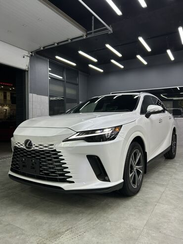 аксессуары на ауди: Lexus RX: 2023 г., 2.4 л, Автомат, Бензин, Кроссовер