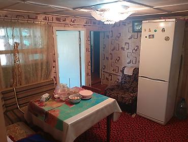 Деревянные штакетники: Деревянные штакетники, Покраска забора — 14