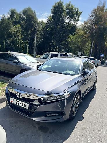type r: Honda Accord: 2019 г., 1.5 л, Автомат, Бензин, Седан — 5