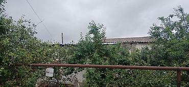 xizi: 20 sot, Mülkiyyətçi — 10