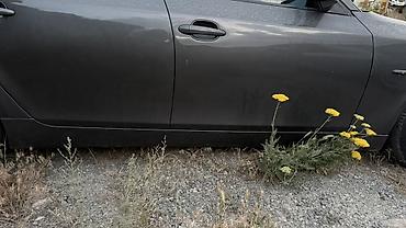 Бампер и комплектующие: Бампер BMW, Б/у, Оригинал at lalafo.kg — 9 Бампер и комплектующие: Бампер BMW, Б/у, Оригинал — 9
