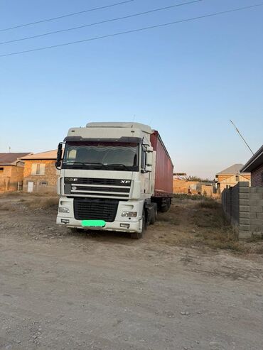 шины на бмв х7: Сүйрөгүч, DAF, 2004 г., Парда
