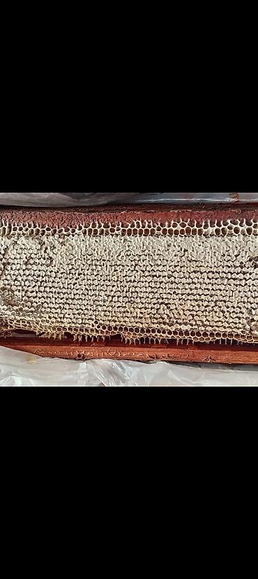 бал мед: Təbii dağ balı kilosu 50 manatdır — 3