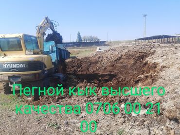 черешня бишкек: Перегной кык высшего качества конный говяжии 5 лет выдержки кык