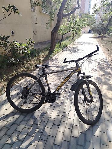Velosiped – SUPER CROSS dağ velosipedi - Gödəkçə: yüngül