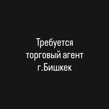 фриланс работа без опыта для подростков: Требуется Торговый агент, График: Пятидневка, Без опыта, Карьерный