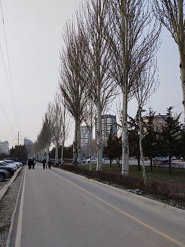 Продажа квартир: 1 комната, 53 м², Элитка, 3 этаж, Евроремонт at lalafo.kg — 7 Продажа квартир: 1 комната, 53 м², Элитка, 3 этаж, Евроремонт — 7