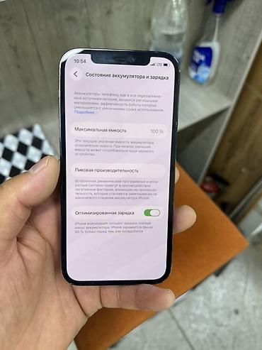 Apple iPhone: IPhone 12 Pro, Б/у, 256 ГБ, Pacific Blue, Защитное стекло, Чехол, В рассрочку, 100 % — 9