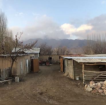 Продажа сельхоз предприятий: Продаётся сельскохозяйственный участок с хозпостройками. - — 3