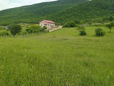 əlimyandi satilan evlər: 63 sot, Kənd təsərrüfatı, Mülkiyyətçi, Kupça (Çıxarış) — 4