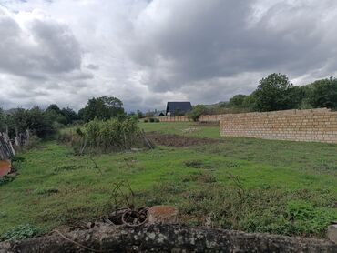 зарубежная недвижимость купить: 10 sot, Tikinti, Mülkiyyətçi, Kupça (Çıxarış)