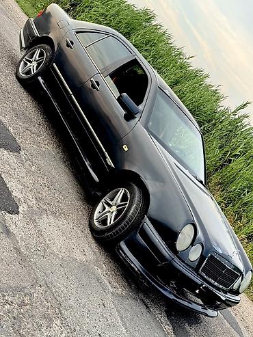 Mercedes-Benz: Mercedes-Benz E-Class: 1995 г., Седан — 9