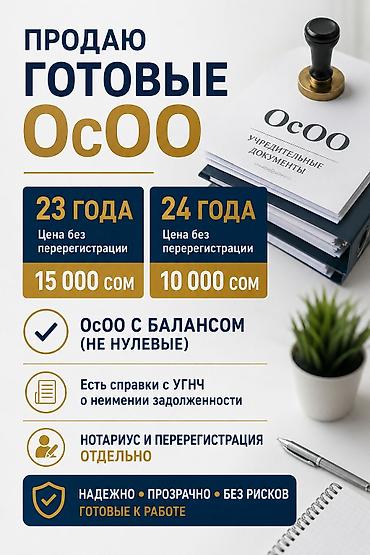 Готовые ОсОО: Готовые ОсОО под ключ. - ОсОО с действующим балансом (не нулевые) — 1