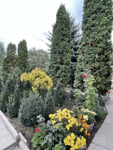 Продажа домов: Дом, 85 м², 4 комнаты, Собственник, Косметический ремонт — 23