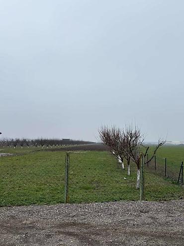 Prodaja zemljišta: Plac Ugrinovci centar, 110 ari + voćnjak Uknjižen 1/1 na ime vlasnika — 2