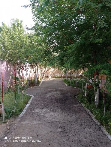 Həyət evləri və villaların satışı: 6 otaqlı, 3000 kv. m, Kredit yoxdur, Orta təmir -da lalafo.az — 7 Həyət evləri və villaların satışı: 6 otaqlı, 3000 kv. m, Kredit yoxdur, Orta təmir — 7