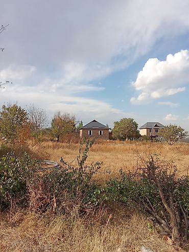 Жер тилкелери: 9 соток, Кызыл китеп — 3