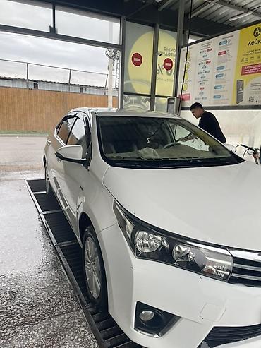 карола 2019: Toyota Corolla: 2019 г., Автомат, Бензин, Седан — 1