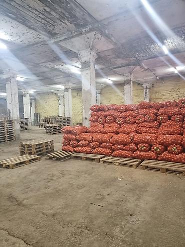 продаю кара балта: 🏢 СКЛАДСКИЕ ПОМЕЩЕНИЯ В АРЕНДУ ‼️ Сдаются в аренду большие складские — 5