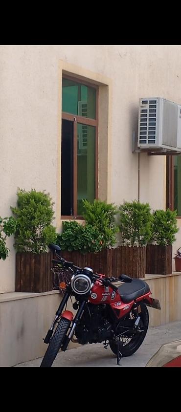 tvs raider 125: LIFAN 250 sm3, 62527 km — 2