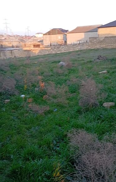 torpaq sahesi elanlari: 8 sot, Tikinti, Mülkiyyətçi, Kupça (Çıxarış)